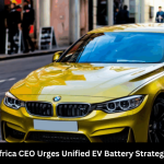 BMW South Africa CEO Urges Unified EV Battery Strategy with Europe