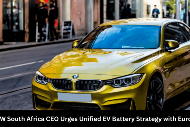 BMW South Africa CEO Urges Unified EV Battery Strategy with Europe