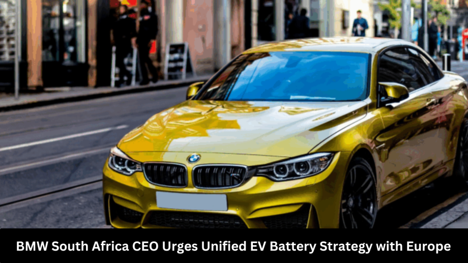 BMW South Africa CEO Urges Unified EV Battery Strategy with Europe